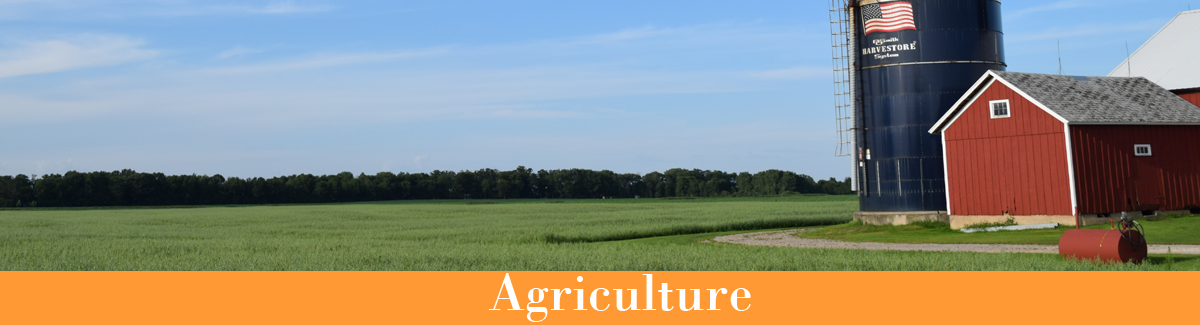 Barn and silo in a farm field