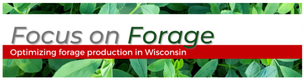 Green plants "Focus on Forage"
